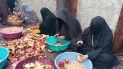 برای ده ها زن در فراه زمینۀ کار فراهم شده است