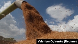 Иллюстрациялык сүрөт