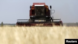 Кыргызстанда эгин чаап-жыйноо аяктоо алдында