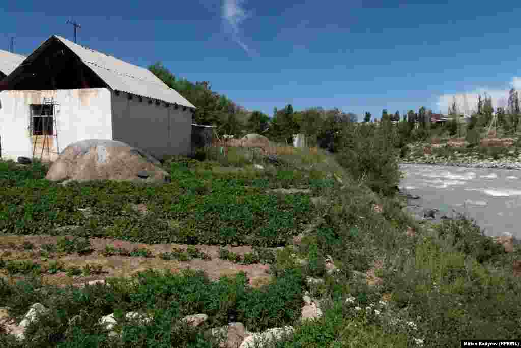 Жалпысынан Нарын шаарында 19 коктунун ичинде 84 үй-бүлө кооптуу аймактарда жашайт.