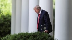 Американские вопросы. Брифинги Трампа как средство от вируса