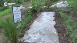 Таджикистанехь тIаьхьалонна кешнаш доху, тIаккха уьш дIакъовлу телатаца