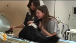 Илим жаңылыктары