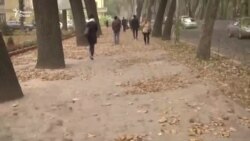 Хоку хазон натиҷаи тундбоди сахт дар Душанбе