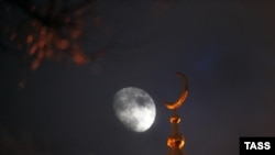 Иллюстрациялык сүрөт. 