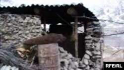 Акс аз бойгонӣ