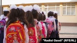 Иллюстративное фото