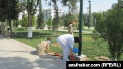Türkmenistanda geçirilýän mejbury-meýletin ýowarlar dowam edýär. Arhiw suraty