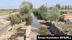 Иллюстрациялык сүрөт. 