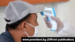 Иллюстрациялык сүрөт. 