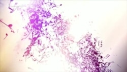 Ռոք Սևանի ափին | «Ազատության համերգասրահ» | 10.08.2019