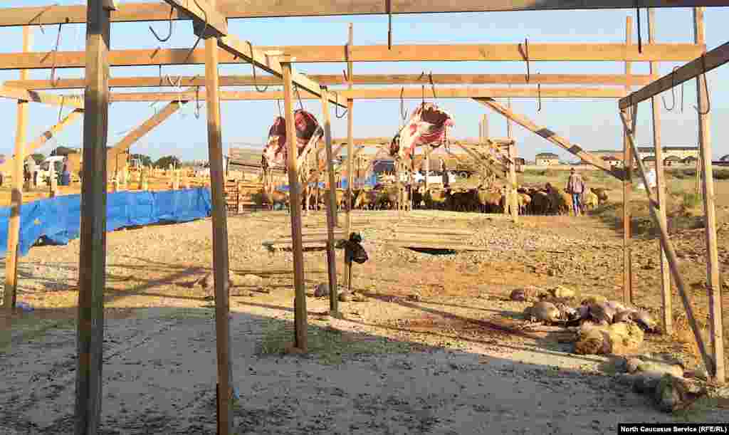 Кое-кого уже принесли в жертву...