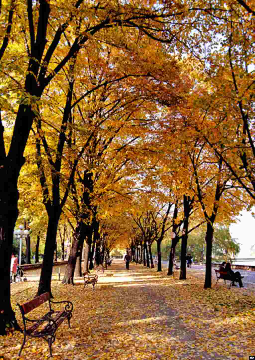 Осенние Балканы. В городском парке Скопье, Македония
