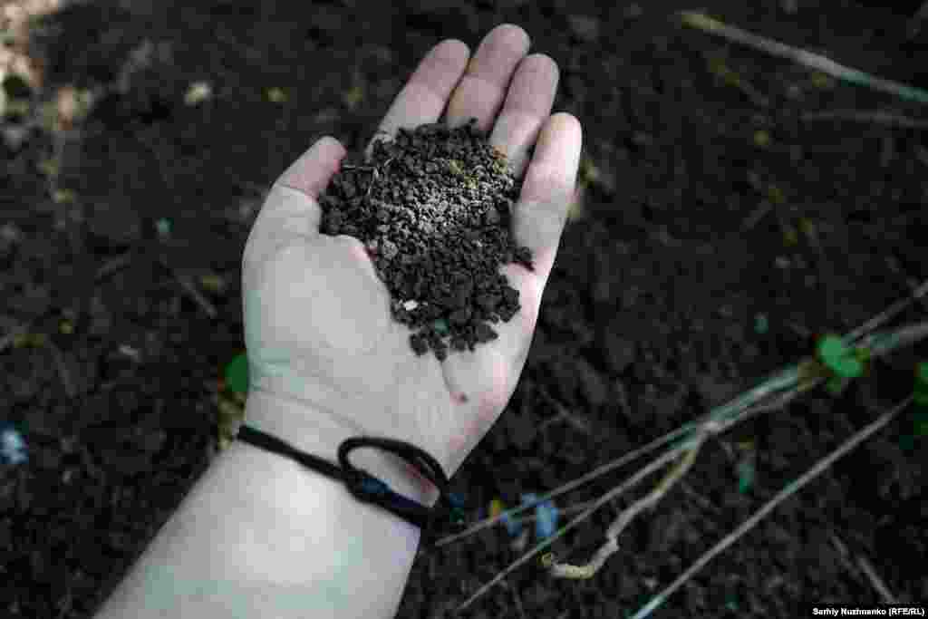 Земля в районе села Константиновка. Она была оккупирована в сентябре 2024 года, через четыре месяца после того, как была снята эта фотография