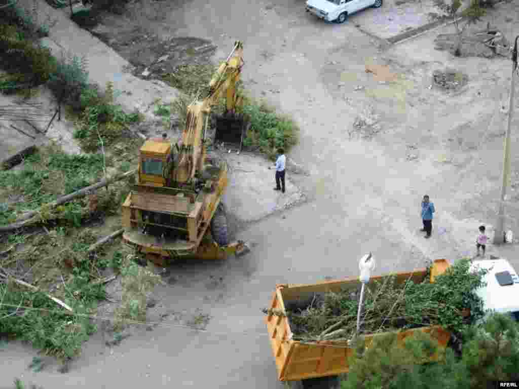 "Bolýan zatlara ýüregim çydanok" #16