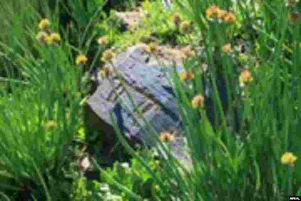 Саймалуу-Таш или расшитые камни Тянь-Шаня #19