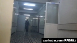 Illýustrasiýa suraty