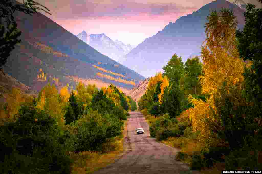 Ар мезгилде аруулукка себепкер, Жол сакчысы мобул мырза теректер,&nbsp; Сээп жаткан сары, кызыл, апарман. Жалбырактан килем токуп жатат жер. (Бурулкан Сарыгулова)