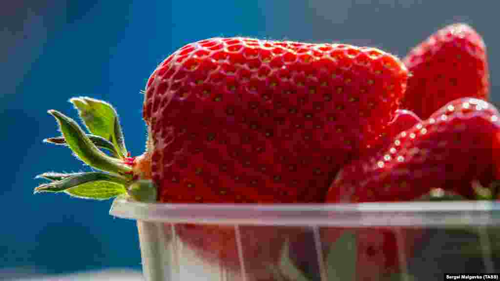 Клері &ndash; один із найпоширеніших сортів полуниці, виведений в Італії. Її люблять за високу врожайність, яскравий аромат і солодкість. Як вручну збирають полуницю в Холмівці, дивіться за посиланням​