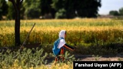 آرشیف- یک دختر در مزارشریف به طرف مکتب روان است.