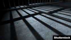 Иллюстрация. 