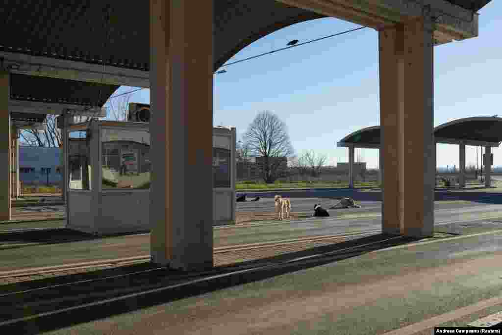 Румыния жана Болгария 1-январдан тартып Шенген визасыз аймагына толук мүчө болуп кирди. Эки өлкө ортосундагы чек ара бекети. Румыниянын Журжу шаарынын аймагы.