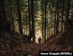 Кристек идет по оврагу