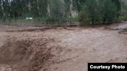 Иллюстрациялык сүрөт. 