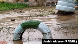 Иллюстрациялык сүрөт. 