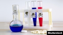 Иллюстрациялык сүрөт. 