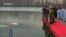 Swimming Race Marks Orthodox Epiphany In Serbia
