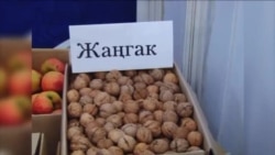 Жабыркаган жаңгак токой