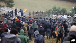 Мигранттар Польша менен Беларустун чек арасындагы зым тосмолорду бузуп жатышат.  Гродно аймагы. 8-ноябрь, 2021-жыл.