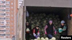 Россия расмийлари тожик мигрантларига қарши "ов" якунига етганини билдирмоқда.