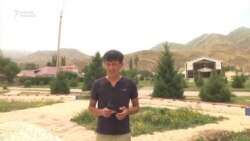 Нарындын кароосуз калган борбору