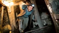 Кара жанды карч ургузган «кара алтын»