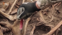 «Пошуковики» знайшли в зоні АТО масове захоронення часів Другої світової (відео)