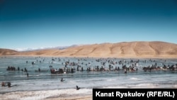 Нарындагы Ара-Көл көлү. Иллюстрациялык сүрөт.
