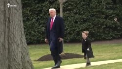 Украинага босқин: 1116-кун | Трамп Путин билан "жуда яхши" музокаралар бўлганини айтди