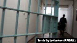 По данным международных организаций, туркменское правительство подвергается критике за преследование и давление на журналистов, критикующих официальную политику.