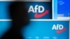 В ФРГ партию «Альтернатива для Германии» признали «экстремистской» 