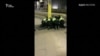 Нападение в Манчестере в новогоднюю ночь (видео)