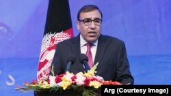 شاه محمود میاخل معاون"جنبش ملی برای صلح و دموکراسی"