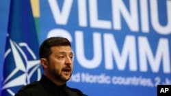 Уладзімер Зяленскі на саміце ў Вільні 2 чэрвеня. Ілюстрацыйнае фота. 