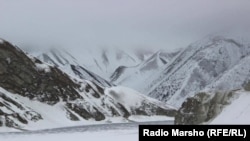 Къоьзан Iам, Нохчийчоь.