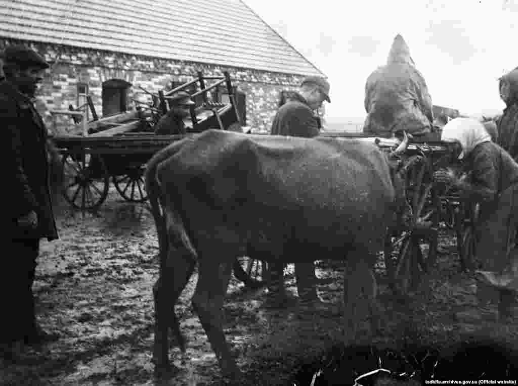 Розкуркулення селянина Ємця П. в одному з сіл Гришинського району Донецької області, 1930&ndash;1933 роки