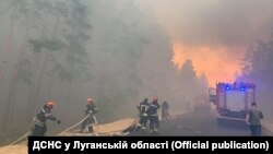 На допомогу дачникам, за твердженням ДСНС, вирушили кілька груп рятувальників, проте лише одна змогла дістатися них