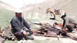 Сабаны ыштай билсең кымыз таттуу