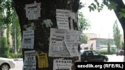 Уй-жой савдоси билан шуғулланадиган маклерлар Тошкентда уй олувчидан сотувчи кўпроқ эканидан гапиришмоқда