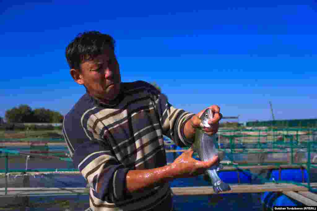 Табылды Мамбеталиев не интересуется политикой. Он редкий гость в соцсетях. Его главное увлечение - рыба.&nbsp; &nbsp;